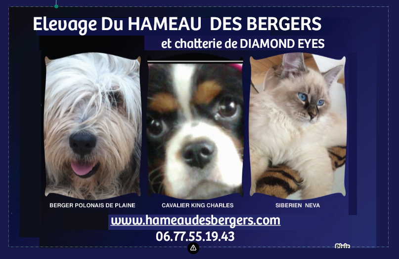 du hameau des bergers
